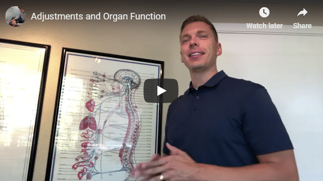 Roseville Chiropractor Explains Adjustments can help Organ Function?? Absolutely!